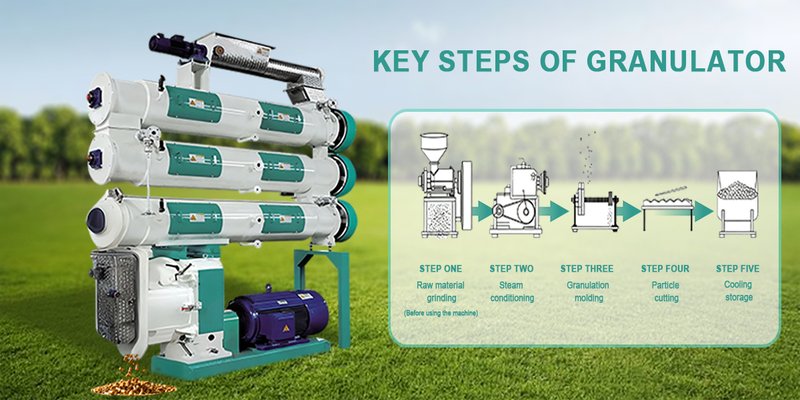 Ring Die Feed Pellet Mill