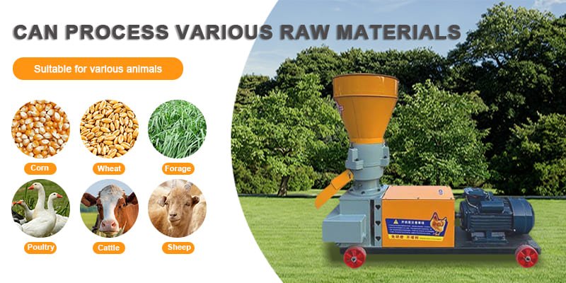 Various raw materials like corn and wheat for a feed mill