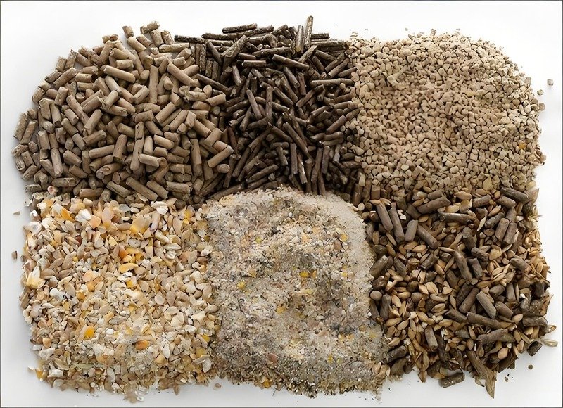 Feed Raw Materials