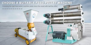 Should I choose a flat die or a ring die pellet machine? What are the main differences?