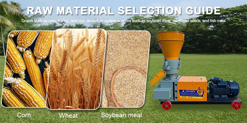 a close-up of different grains like corn and wheat next to protein meals