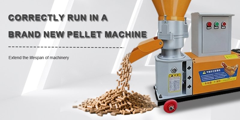 Close-up of smooth, uniform feed pellets coming out of a machine.