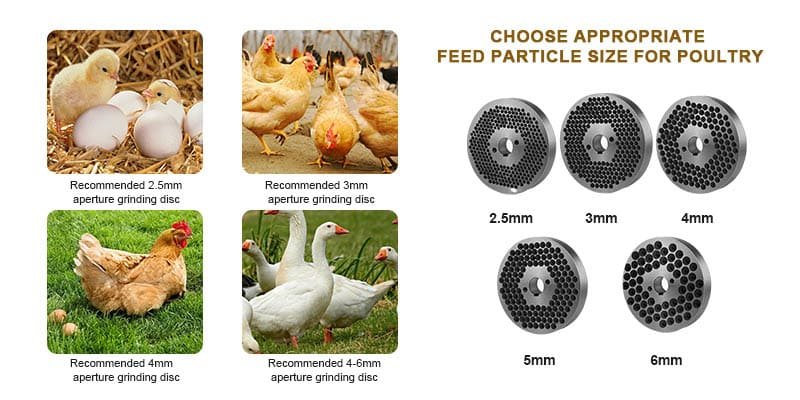 Best Pellet Size for Broilers vs. Layers