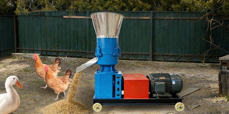Chicken Feed pellet machine