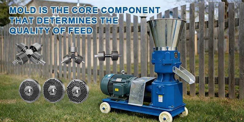 How Do You Choose the Right Die for a Small Pellet Mill?