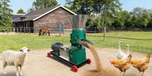 2026 Guide: How to Avoid the 5 Costly Mistakes When Buying a Feed Pellet Machine