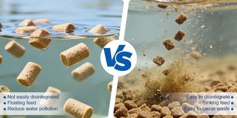 Floating fish feed pellets produced by professional extrusion machine