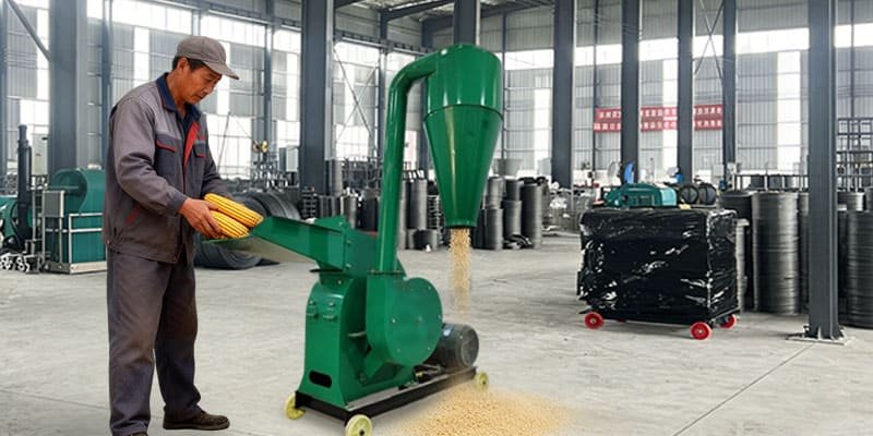 a hammer mill grinder processing corn into fine powder
