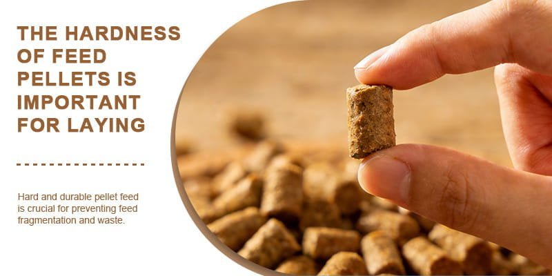 Durable Feed Making Machine for Poultry a hand holding a firm, well-made feed pellet that doesn't crumble