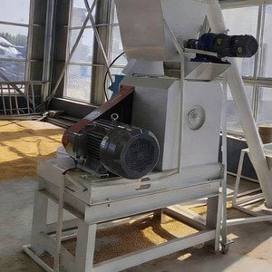 Motor System