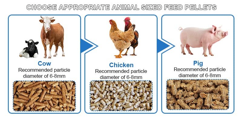 Comparación de diferentes tamaños de pellets para ganado, gallinas y cerdos.