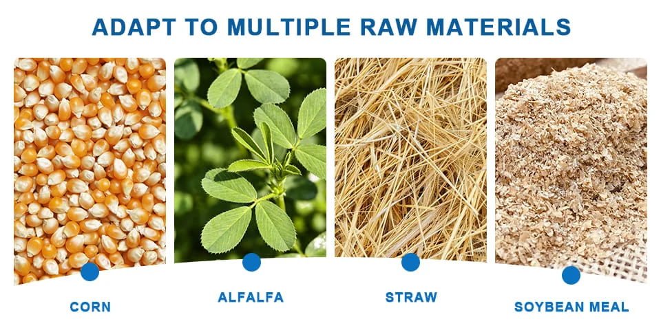 A variety of raw materials for sheep feed, such as alfalfa, corn, and hay.