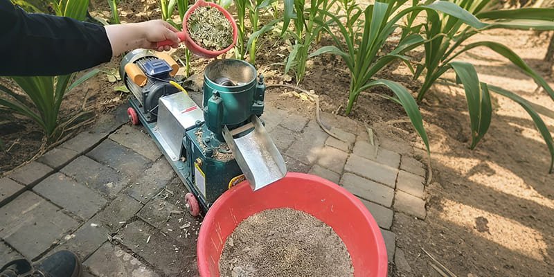 Close-up of corn straw and wheat bran next to finished poultry feed pellets