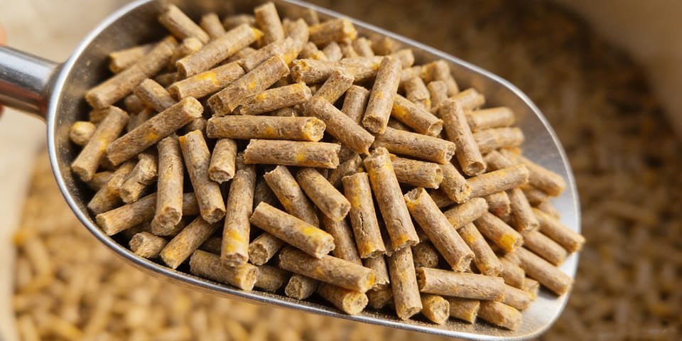 A close-up shot of uniform, high-quality sheep feed pellets in a scoop.