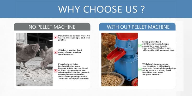 A side-by-side comparison showing chickens wasting powder feed versus eating pellets cleanly.